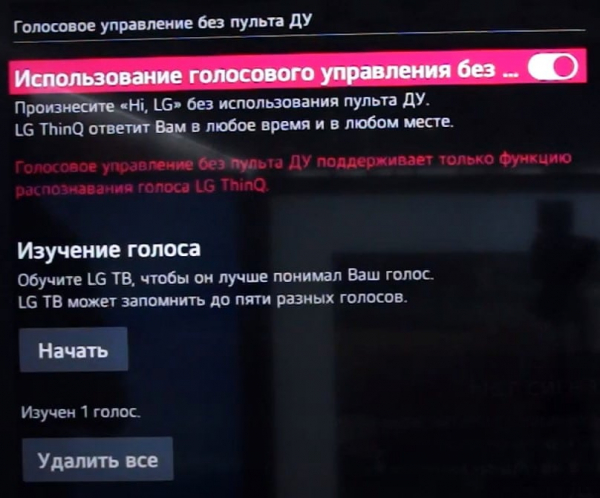 Как настроить голосовой поиск на ТВ и почему не работает?